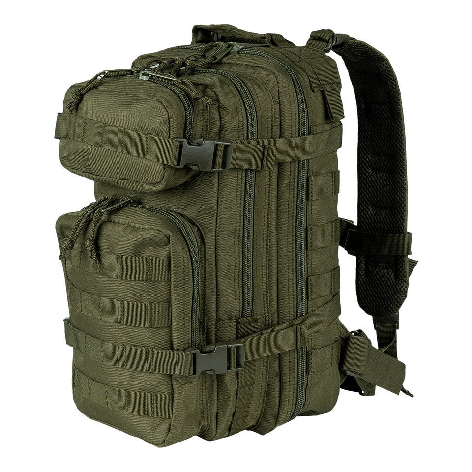 Rucsac Assault Small 25L - Verde | Compartimente, Poliester
