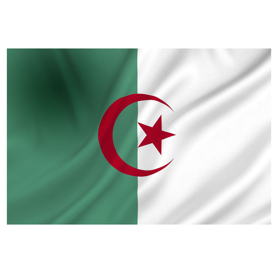 Steag Algeria - Diversen | 100% Poliester, 1x1.5m