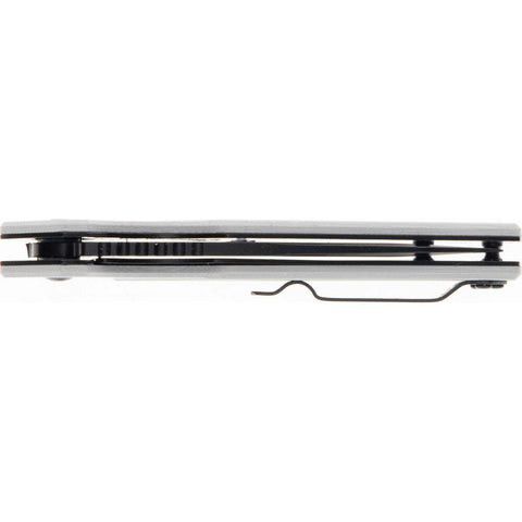 Briceag Schrade Shudder Assisted Opening Folder