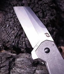 Briceag Schrade Slyte Folder