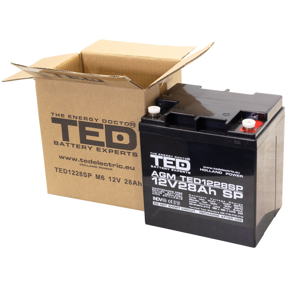 Acumulator AGM 12V 28Ah TED Electric - Dimensiuni Speciale, M6 - 6