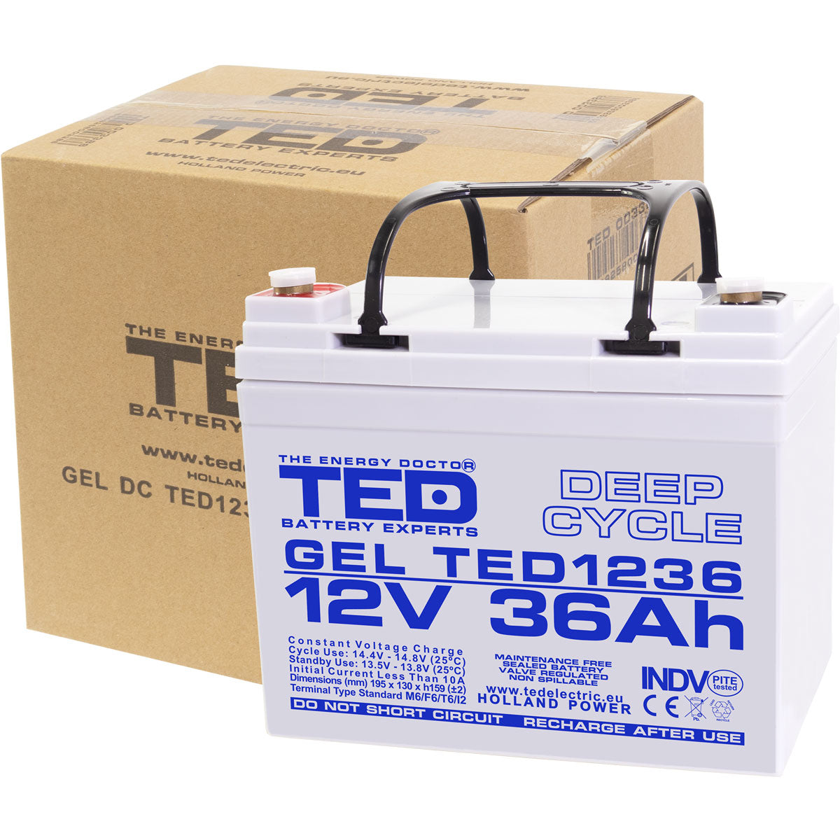 Acumulator AGM 12V 36Ah GEL Deep Cycle TED Electric - Durată Lungă de Viață - 6