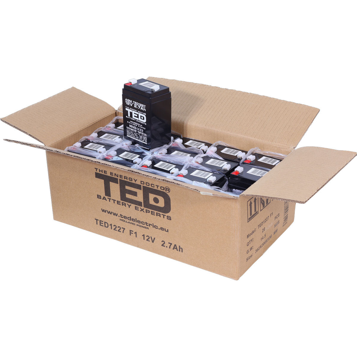 Acumulator AGM VRLA 12V 2.7Ah TED Electric - Compact, Fiabil - 6