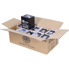 Acumulator AGM VRLA 12V 5,05Ah GBS - Sisteme Securitate, F1 - 6