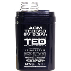 Acumulator AGM VRLA 6V 5.3Ah TED Electric - Cu Arcuri 4R25, Fiabil - 6