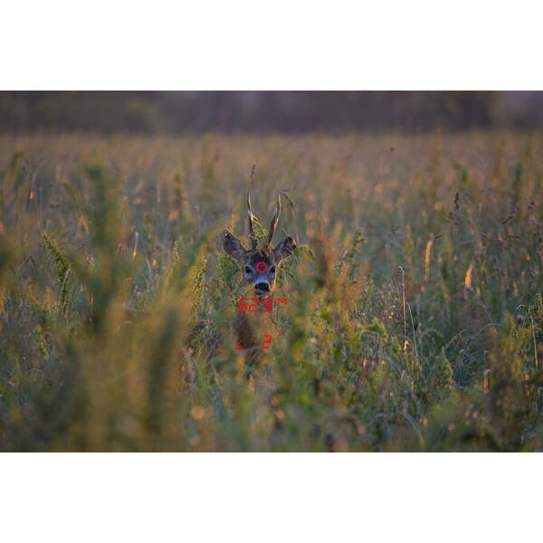 Binoclu RangeGuide 2800 10x50 GP-Optics – Telemetru 2800 m, Rezistent la Apă - poza 5
