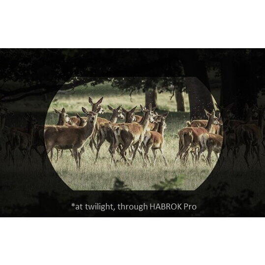 Binoclu Termic Habrok Pro HQ50LN Hikmicro – 1920x1080, Wi-Fi - poza 3