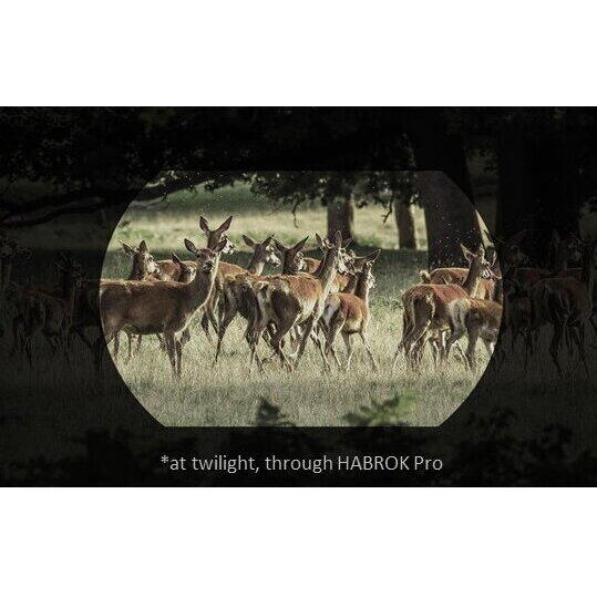 Binoclu Termic Habrok Pro HQ50L Hikmicro – Rezoluție 1920x1080, Wi-Fi - poza 3