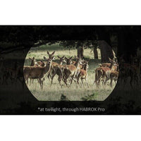 Binoclu Termic Habrok Pro HQ50L Hikmicro – Rezoluție 1920x1080, Wi-Fi - poza 3