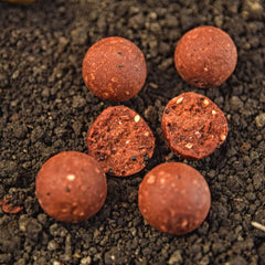 Boilies Solubil Red Squid WLC - Atracție Rapidă, Crap Capital - 3