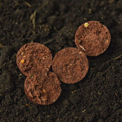 Boilies WLC Fiert Octo Squid Fruits M 20mm/1kg - Atracție Instantă - 3
