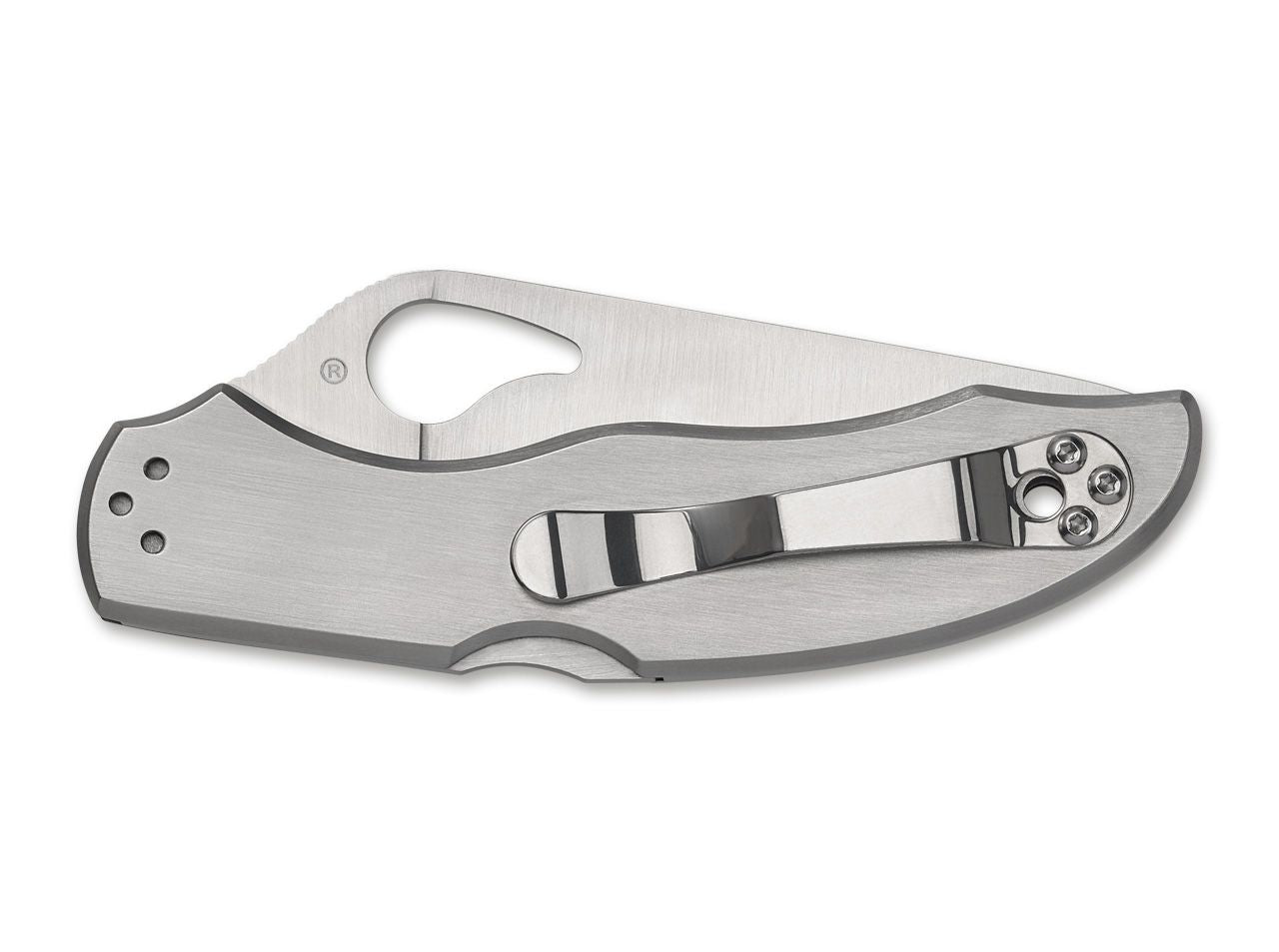 Briceag Harrier 2 Stainless Steel Spyderco- Maner Otel Inoxidabil, Utilizare EDC