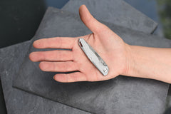 Briceag Herbertz CJH Damast Gri CJH - Damasc, Slipjoint