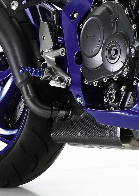 Capac Carbon Colector BMW S 1000 RR Louis - Protecție & Stil