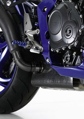 Capac Carbon Colector BMW S 1000 RR Louis - Protecție & Stil
