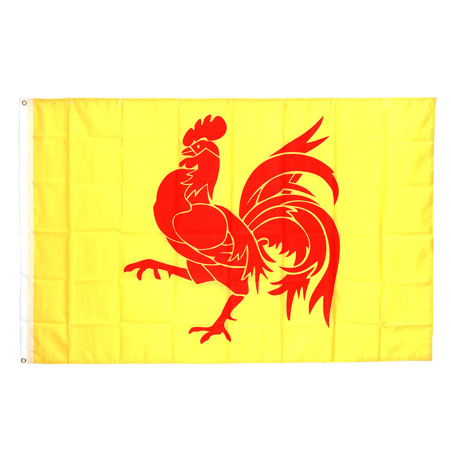 Drapel Valonia Diverse - Afirmă Identitatea Cu Mândrie