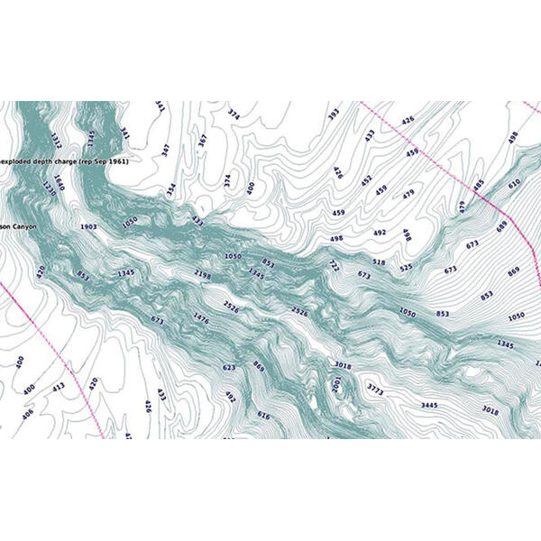 Hartă Navală Dunăre Garmin - Navigație Precisă, Detalii Topografice - 4