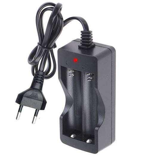 Încărcător Li-Ion 3.7V 2 Canale TED Electric TL-C001 - Încărcare Rapidă 500mA - 2
