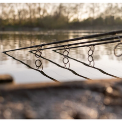 Lansetă Crap D-Carp DAIWA - 3.90m, 3.5lbs, Acțiune Progresivă - 2