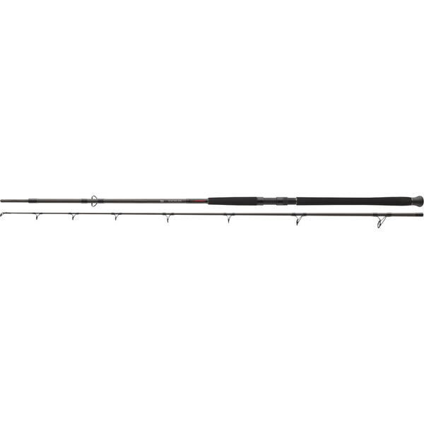 Lanseta Exceler Catfish Boje DAIWA - Somn, 2.7m, 200-600g - 1