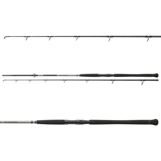 Lansetă Powermesh Catfish Boje DAIWA - 3.0m, 150-400g, 2 Bucăți - 1