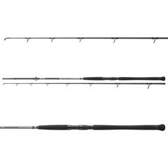 Lansetă Powermesh Catfish Boje DAIWA - 3.0m, 150-400g, 2 Bucăți - 1