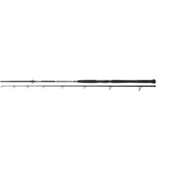 Lansetă Powermesh Catfish Boje DAIWA - 3.0m, 150-400g, 2 Bucăți - 2