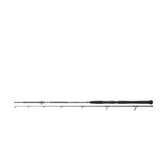Lansetă Somn Powermesh Catfish Spin DAIWA - 2.4M, 135G, 2 Buc - 2