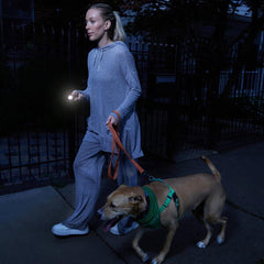 Lanternă cu Electroșoc SABRE 200 Lumeni - Protecție Personală, Iluminare Puternică - 2
