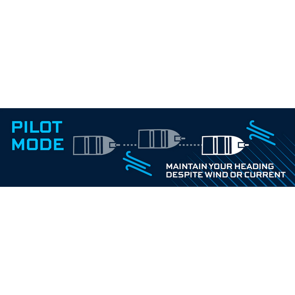 Motor Electric Barca Watersnake Geo-Spot GPS - 80lbs, 24V, 198cm - 6