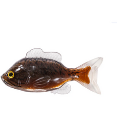 Naluci Soft Naluca Sunfish Live Target - Realism Uimitor, Praderi Garantate