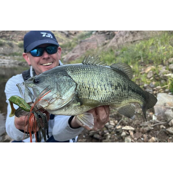 Naluci Soft Shad D.FIN Daiwa - Motor Oil UV, Acțiune Realistă - 2