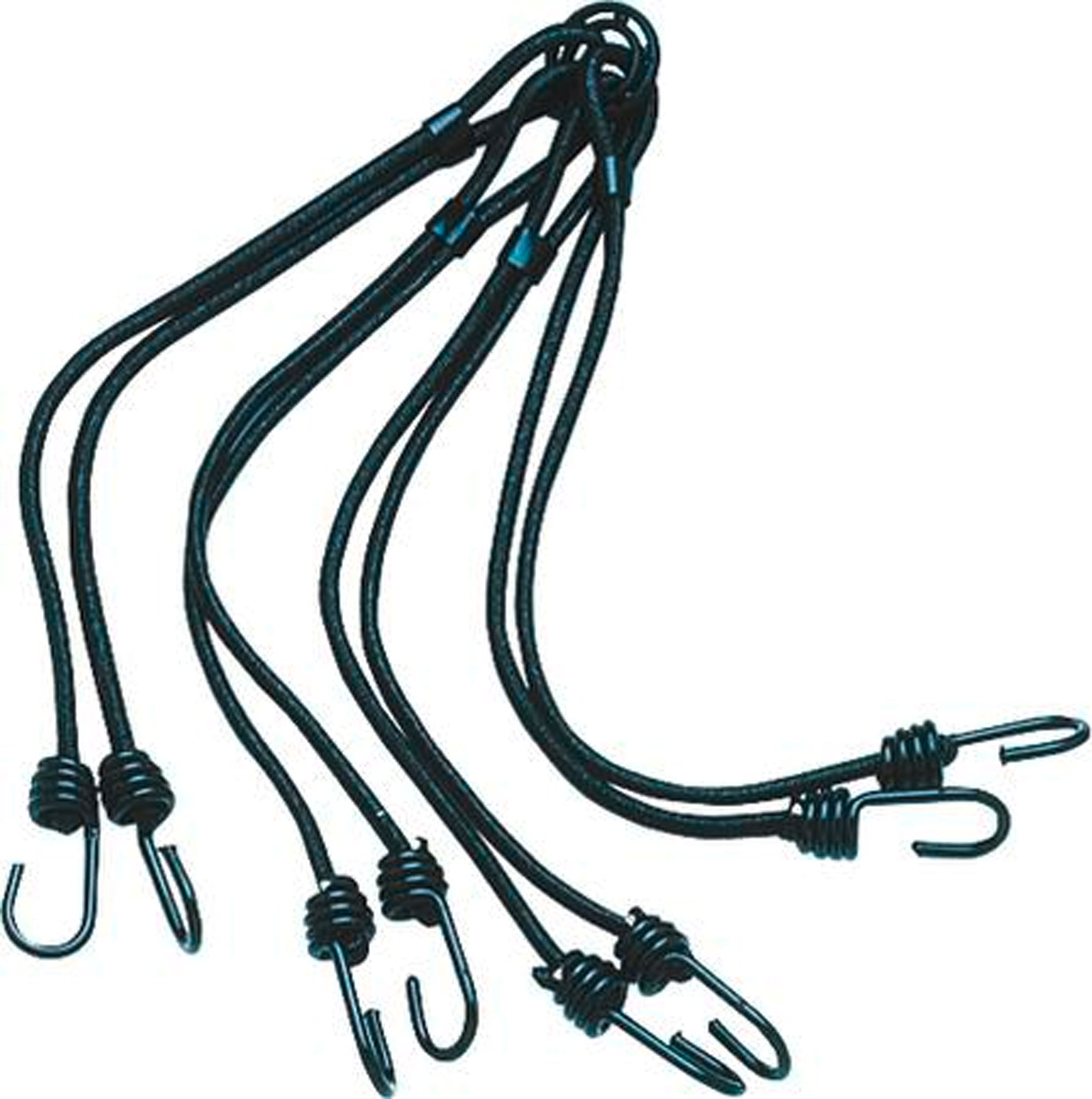 Păianjen Bagaje Joubert Riesenspinne - 8 Corzi Elastice