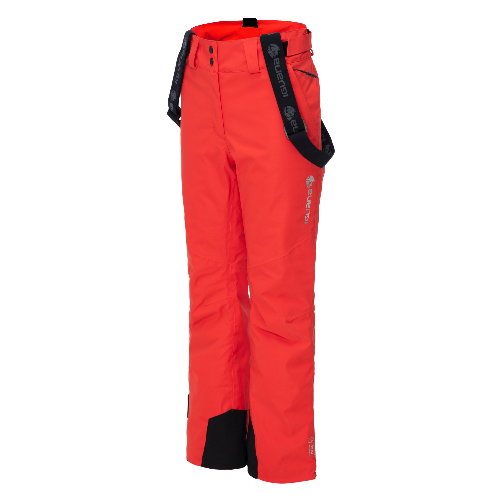Pantaloni Schi PROSLOPE PANTS W IGUANA - Performanță și Sustenabilitate - 2
