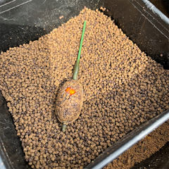 Pellet Arrow INT. Secret Protein Mix 4mm - Atractie Intensă Crap - 1