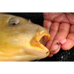 Porumb Artificial Korda Pop-Up Maize Squid - Roz, Aroma Calamar - 4