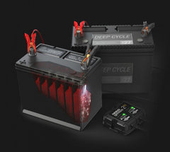 Redresor Auto 6V/12V 2A NocoGenius 2x2 - Încărcare Duală Inteligentă - 13