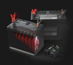 Redresor Auto 6V/12V 2A NocoGenius 2x2 - Încărcare Duală Inteligentă - 8