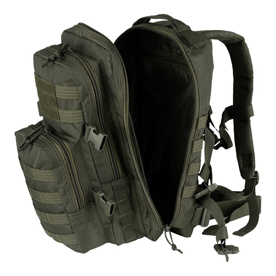 Rucsac Asalt Hexagon 25L Ranger Green - Echipament Tactical Versatil