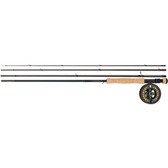Set Lansetă Fly Daiwa 4BUC.D Trout - Clasa 5/6, Pescuit Păstrăv - 1