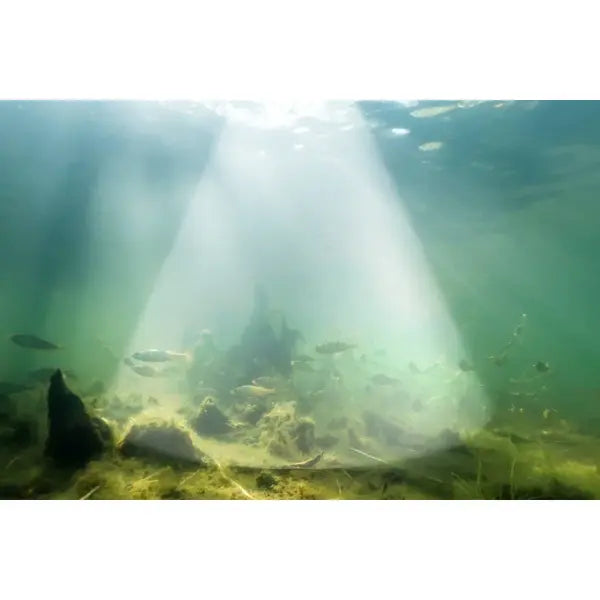 Sonar Smart Chirp+ 4.0 Deeper - Acoperire Subacvatică Precisă - 7