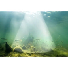 Sonar Smart Chirp+ 4.0 Deeper - Acoperire Subacvatică Precisă - 7