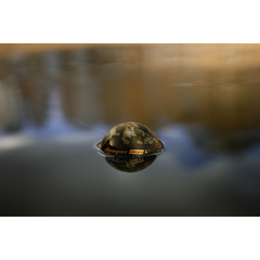 Sonar Smart Chirp+ 4.0 Deeper - Acoperire Subacvatică Precisă - 8