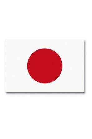 Steag Japonia 90X150Cm