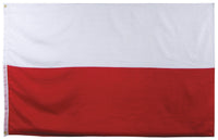 Steag Polonia MFH - bandă ranforsată, ochiuri metalice