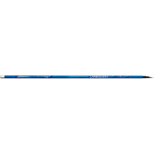 Vergă Telescopică Carbo Queen Lineaeffe - 6m, Ușoară și Rezistentă - 1