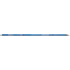 Vergă Telescopică Carbo Queen Lineaeffe - 6m, Ușoară și Rezistentă - 1