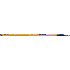 Vergă Telescopică Tele.Carbon 6.00M Lineaeffe - Ultra Ușoară, Versatilă