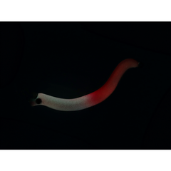 Vobler Presso Nyoro Clazy 57S DAIWA - Acțiune Seducătoare, Rezistență - 2