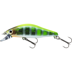 Vobler TN Wise Minnow 5cm DAIWA - Acțiune Naturală, Atracție Garantată